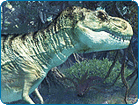 Tyrannosaurus Rex