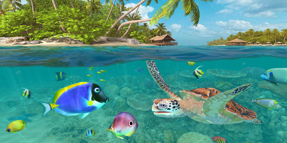 Maldives 3D Screensaver